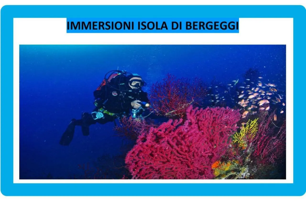 Contrada casa vacanze Vado Ligure Appartamento